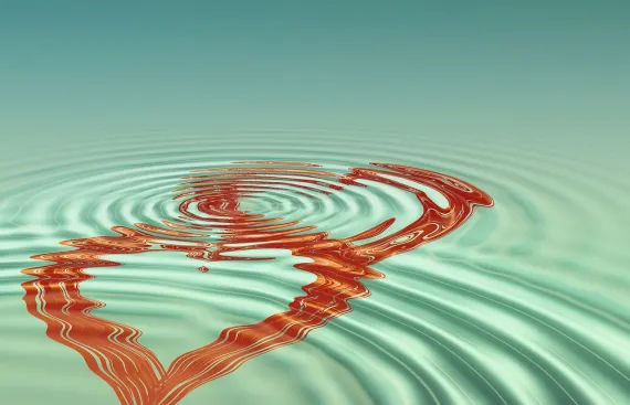 BoVegas Casino Support